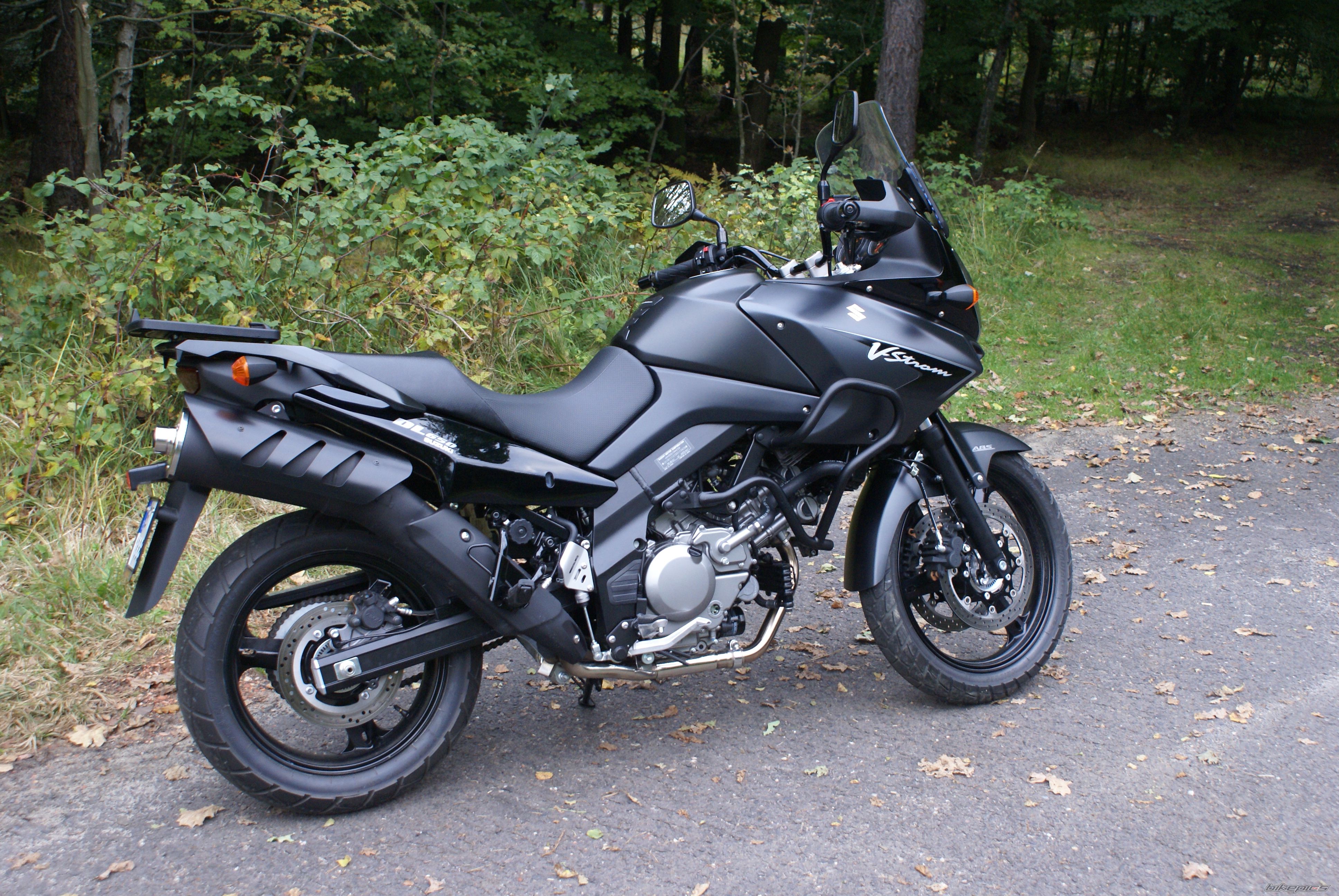 2008 SUZUKI DL 650 | Picture 1430337 motorcycle photo