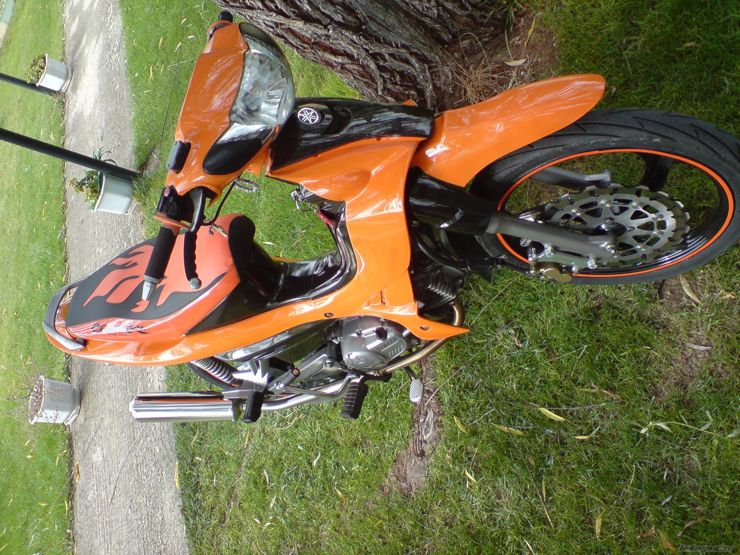2005 YAMAHA CRYPTON R 115 | Picture 1430653 motorcycle photo