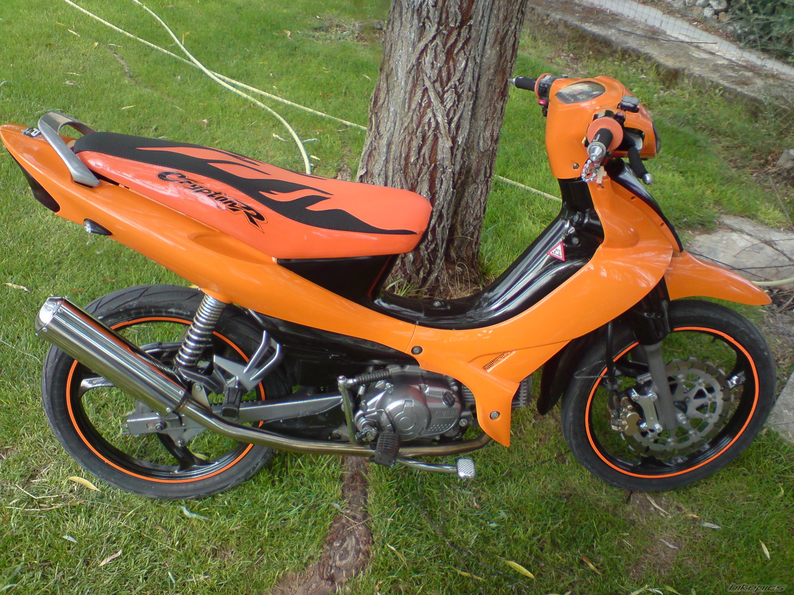 2005 YAMAHA CRYPTON R 115 | Picture 1430654 motorcycle photo