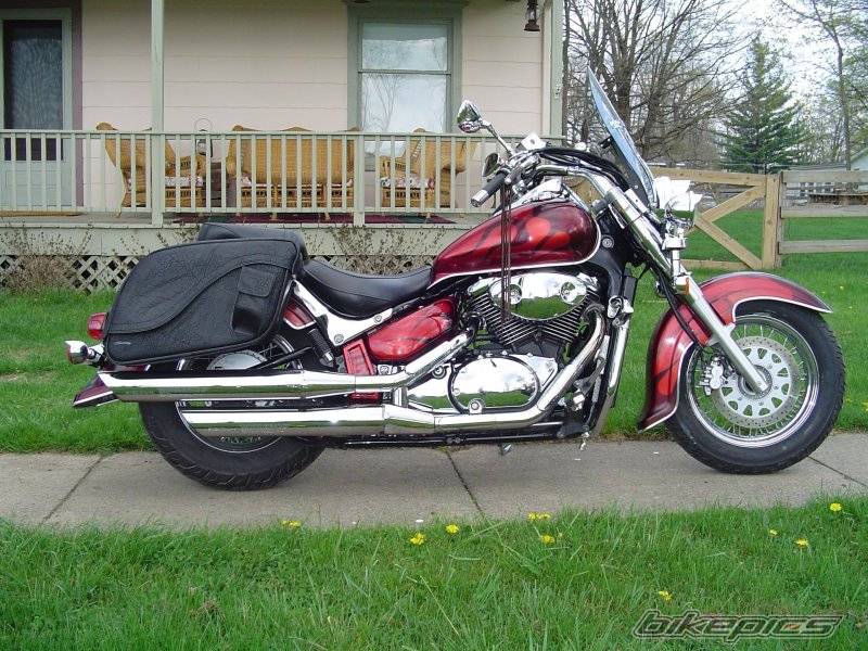 2001 SUZUKI INTRUDER VOLUSIA | Picture 143087 motorcycle photo