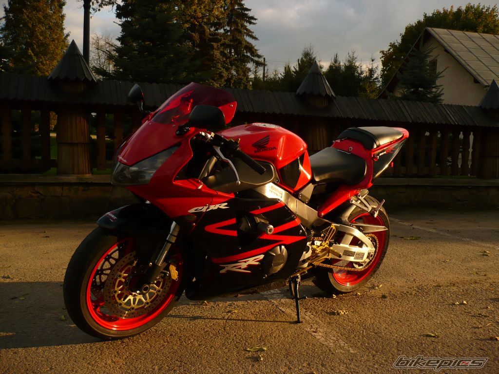 2002 HONDA CBR 900 | Picture 1431209 motorcycle photo