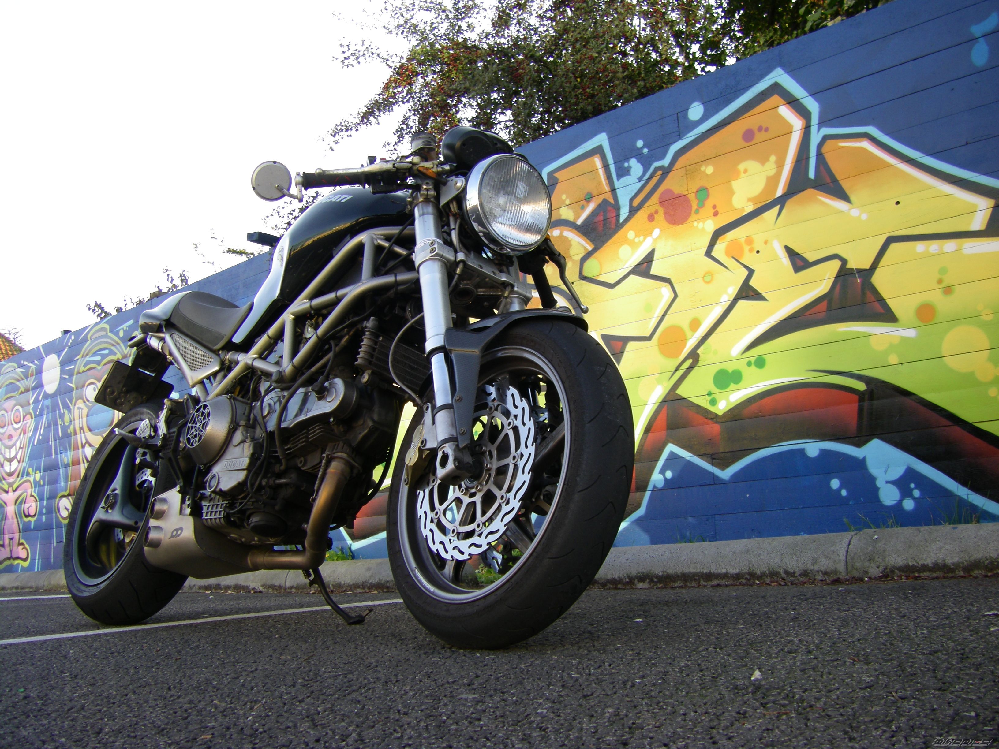 2004 DUCATI MONSTER 1000 | Picture 1431605 motorcycle photo