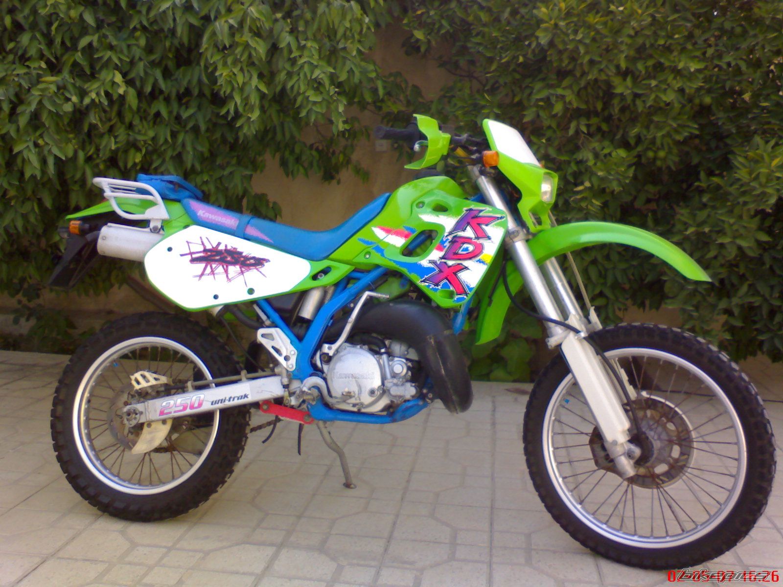 2008 KAWASAKI KDX 250 | Picture 1431656 motorcycle photo
