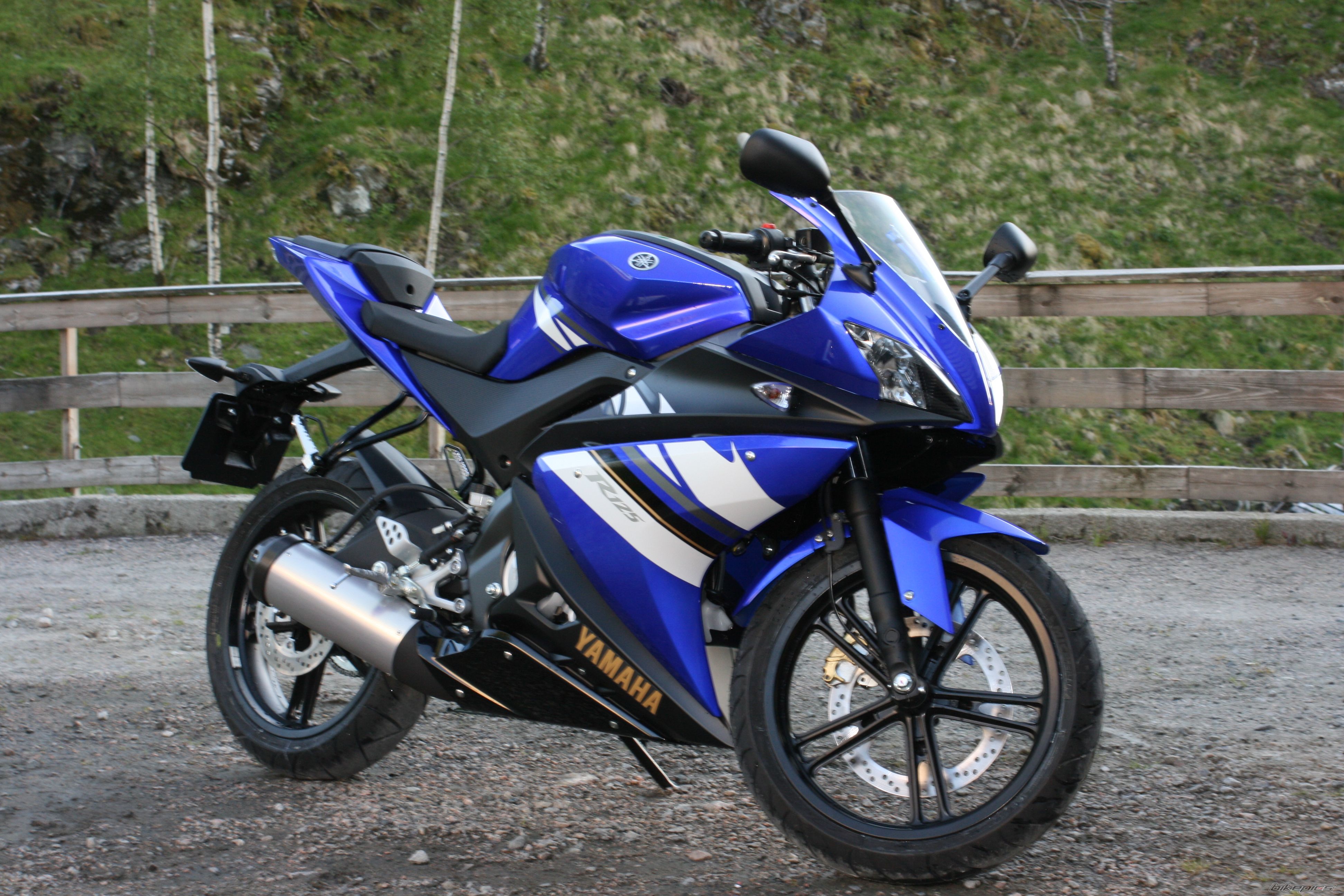 2008 YAMAHA YZF R125 | Picture 1431769 motorcycle photo