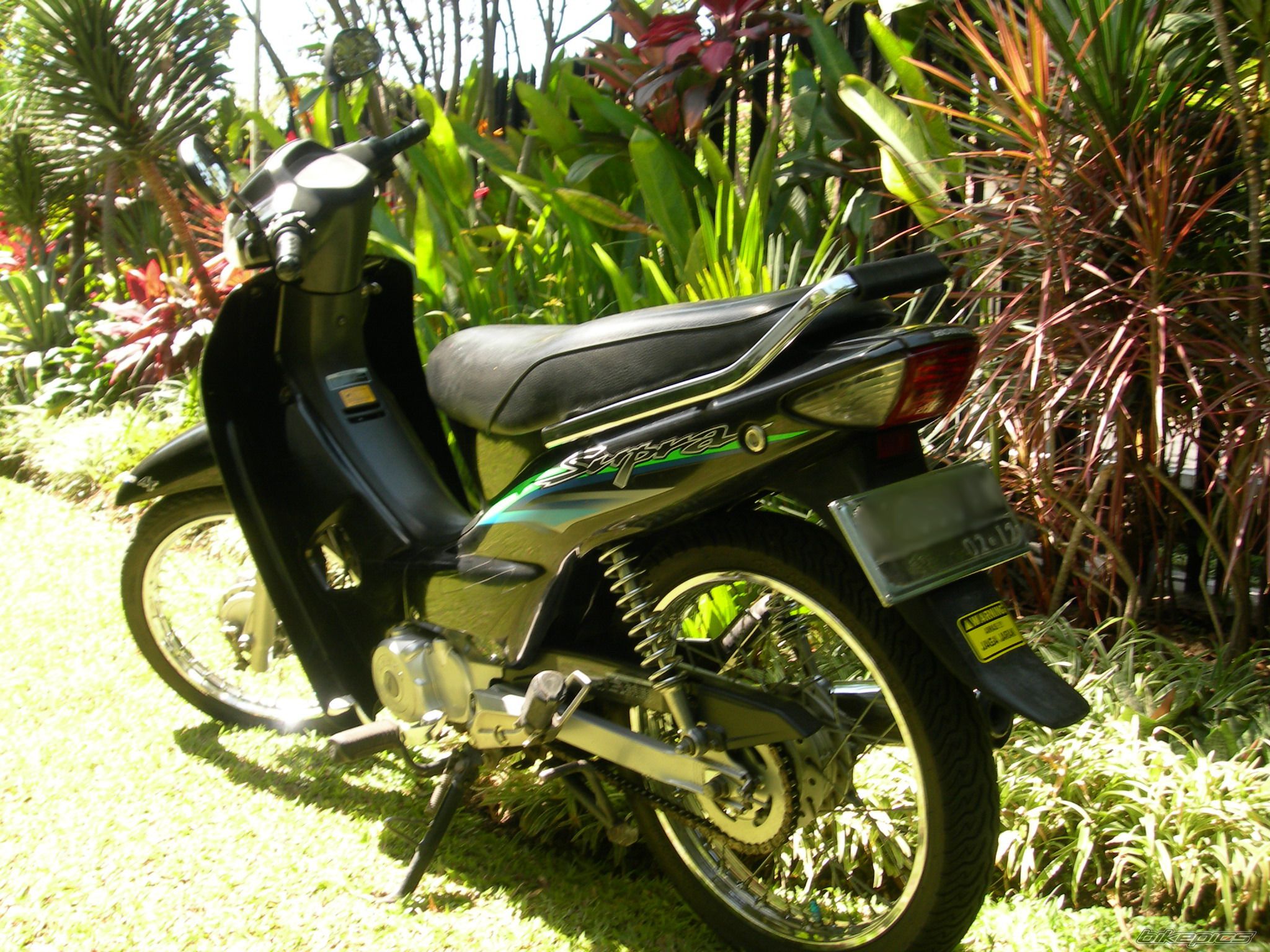 2002 HONDA SUPRA 110 | Picture 1431801 motorcycle photo