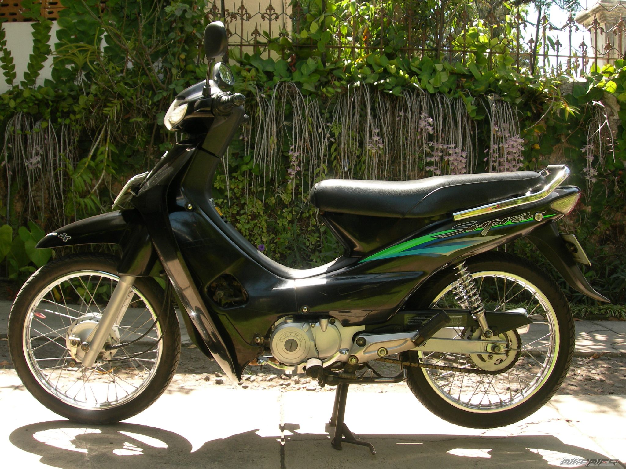 2002 HONDA SUPRA 110 | Picture 1431826 motorcycle photo