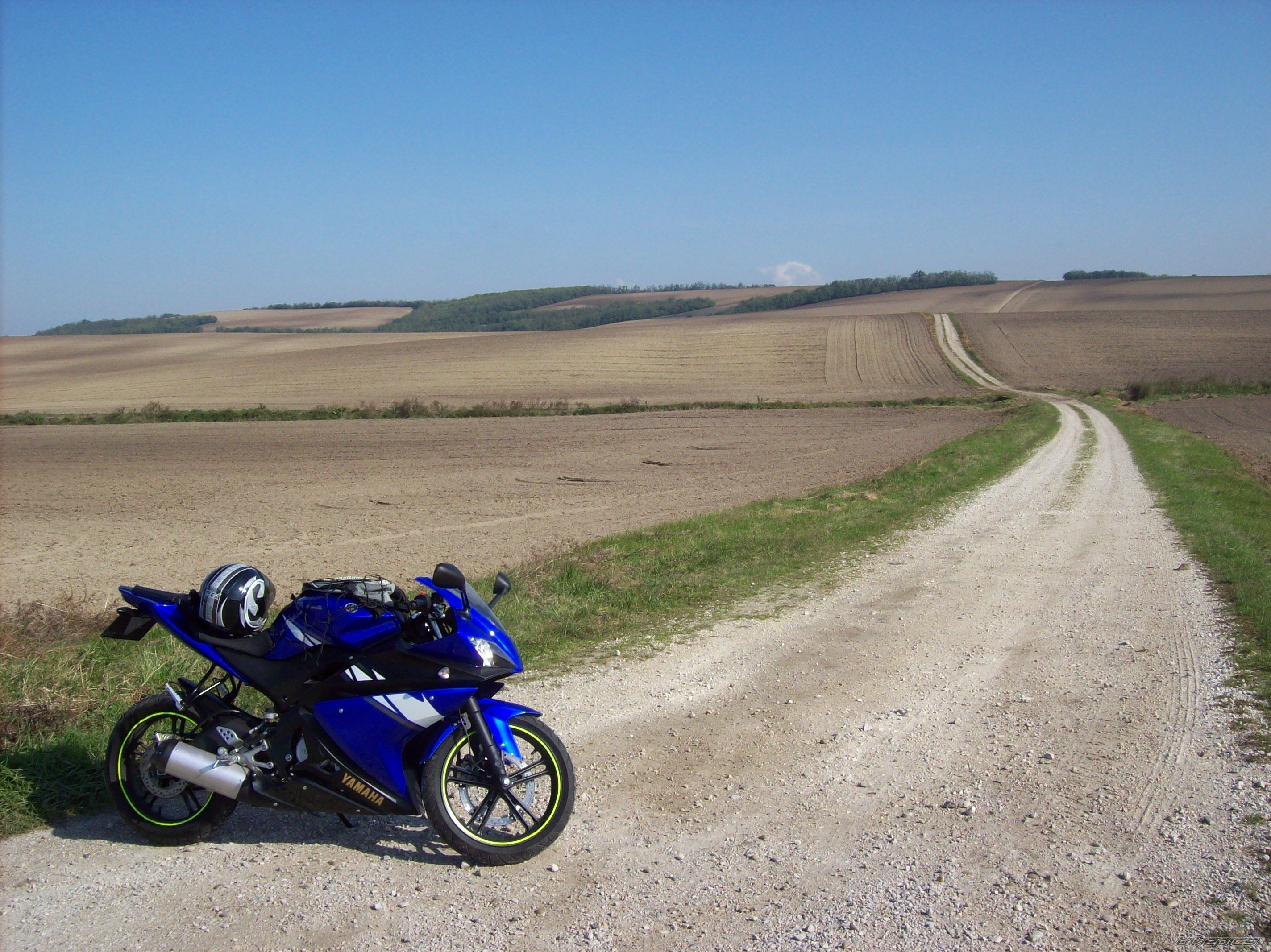 2008 YAMAHA YZF R125 | Picture 1432129 motorcycle photo
