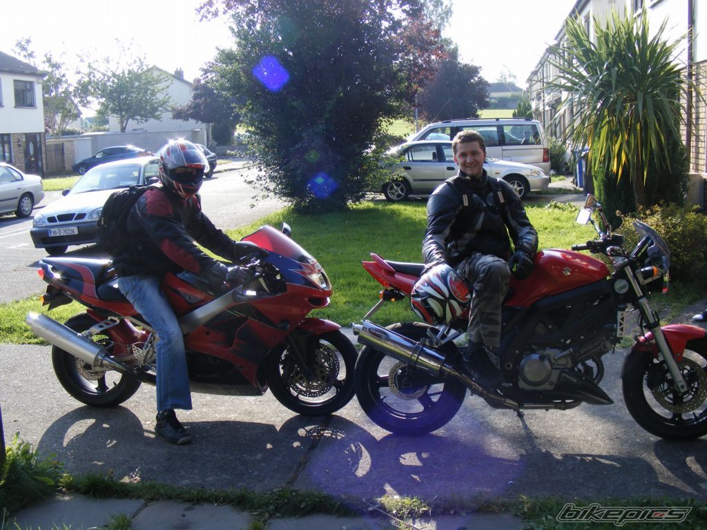 2005 SUZUKI SV 650 | Picture 1432144 motorcycle photo