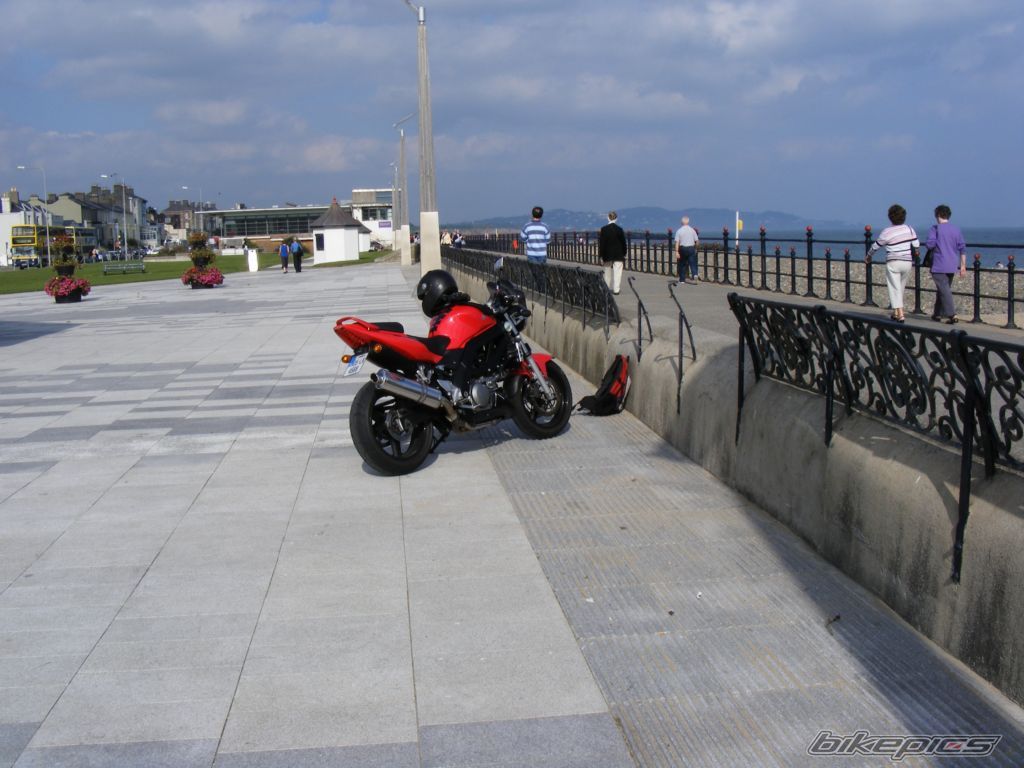 2005 SUZUKI SV 650 | Picture 1432150 motorcycle photo