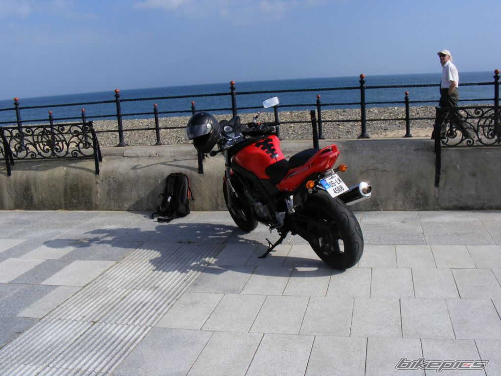 2005 SUZUKI SV 650 | Picture 1432151 motorcycle photo