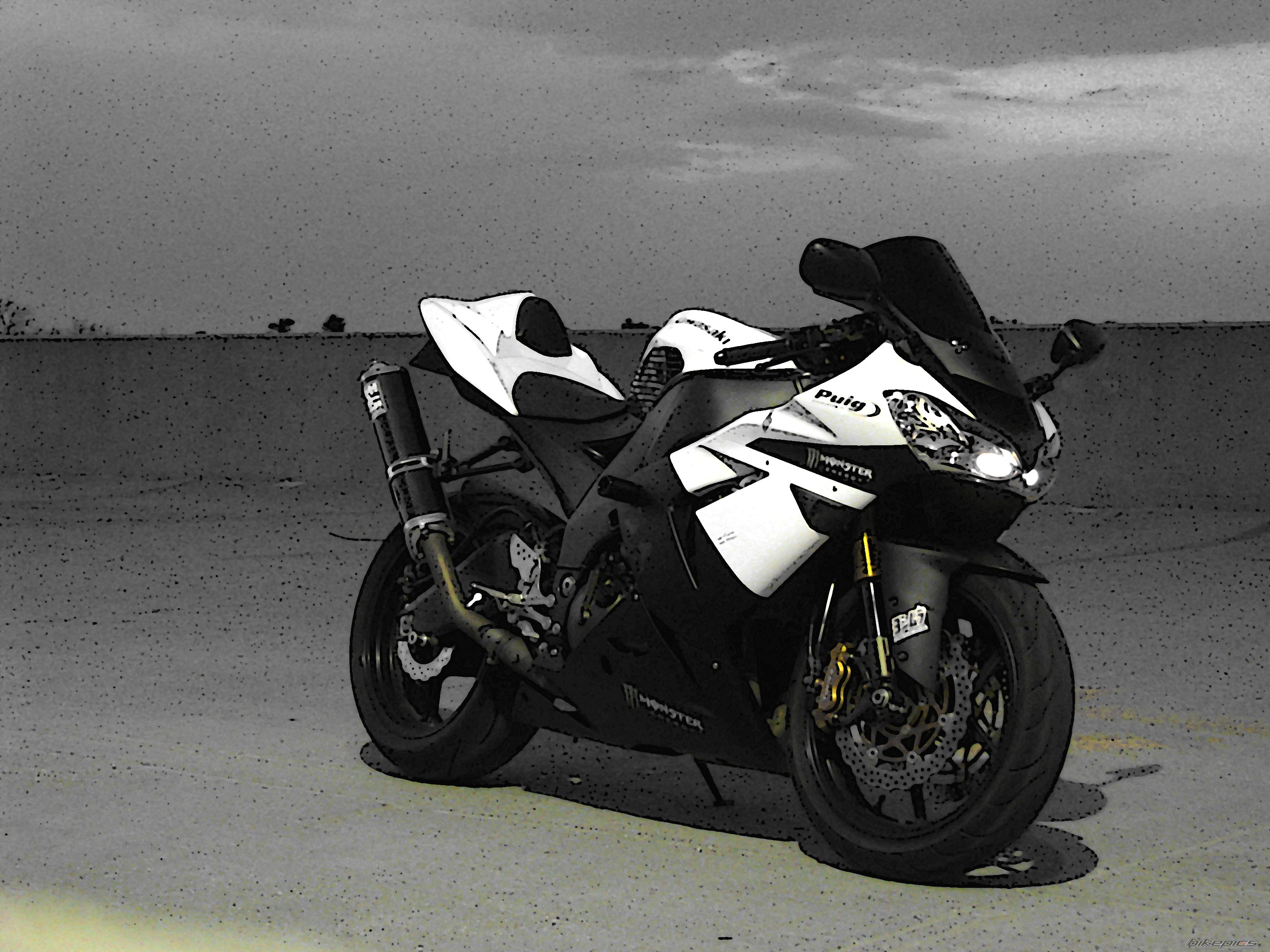 2005 KAWASAKI ZX 10R | Picture 1432368 motorcycle photo