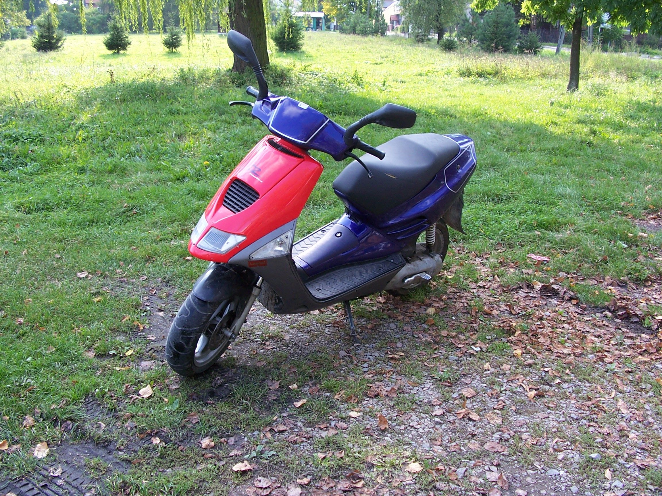 1995 APRILIA SR 50 | Picture 1432486 motorcycle photo