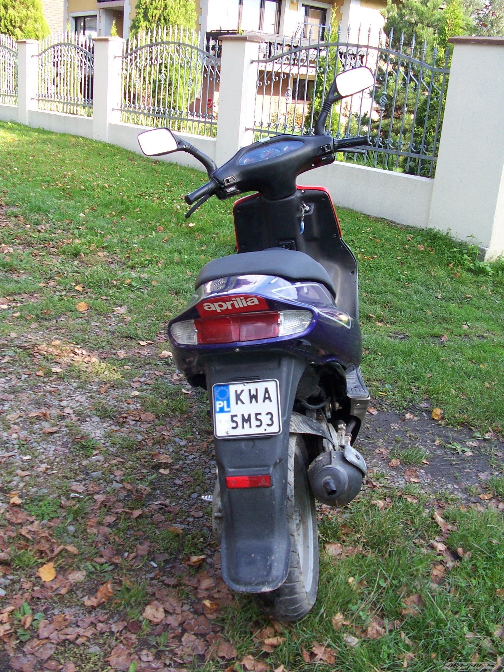 1995 APRILIA SR 50 | Picture 1432505 motorcycle photo