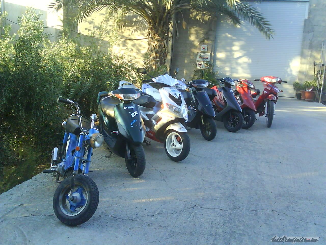 2009 HONDA DIO ZX | Picture 1433074 motorcycle photo