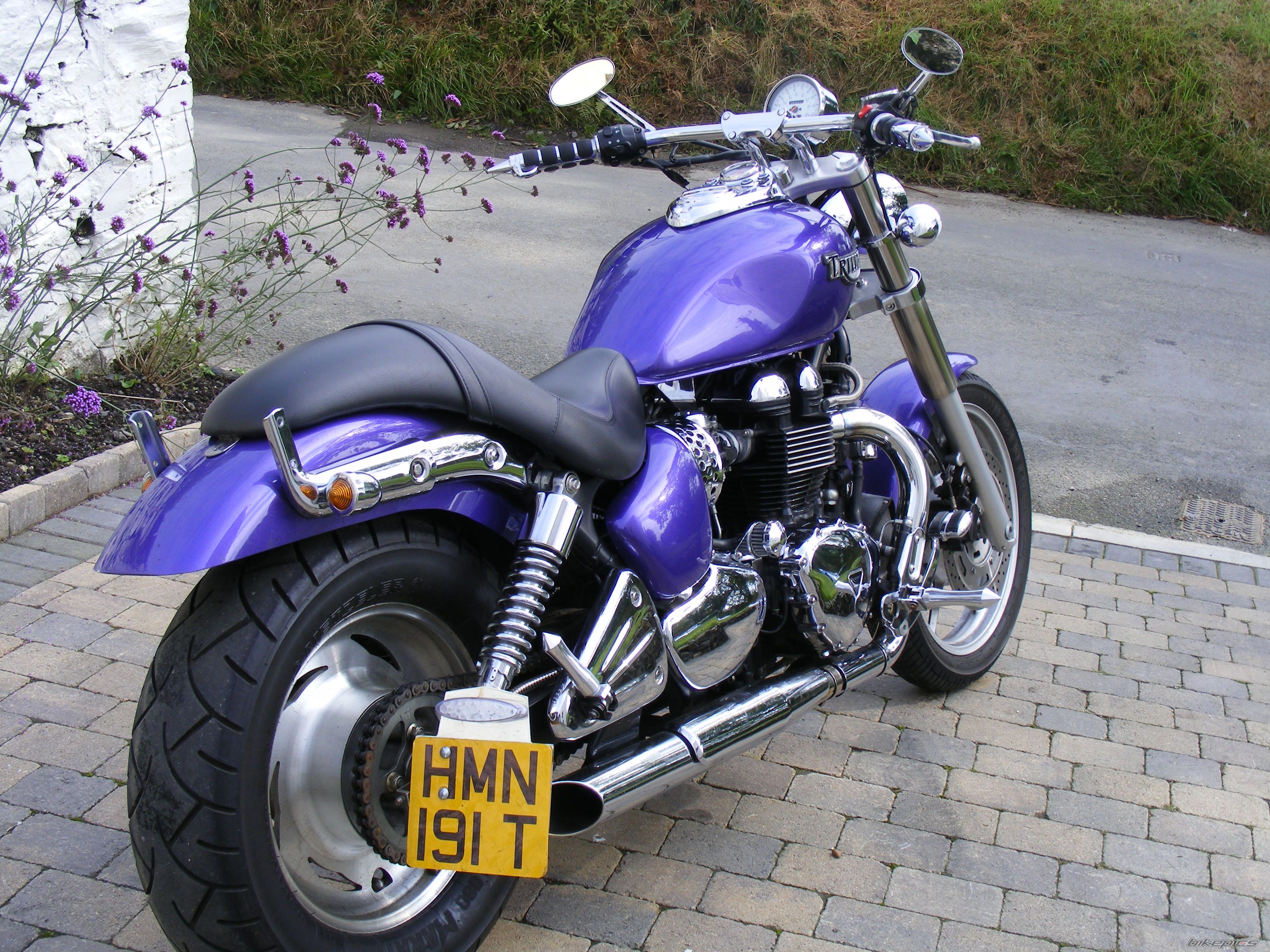 2006 TRIUMPH SPEEDMASTER | Picture 1433579 motorcycle photo