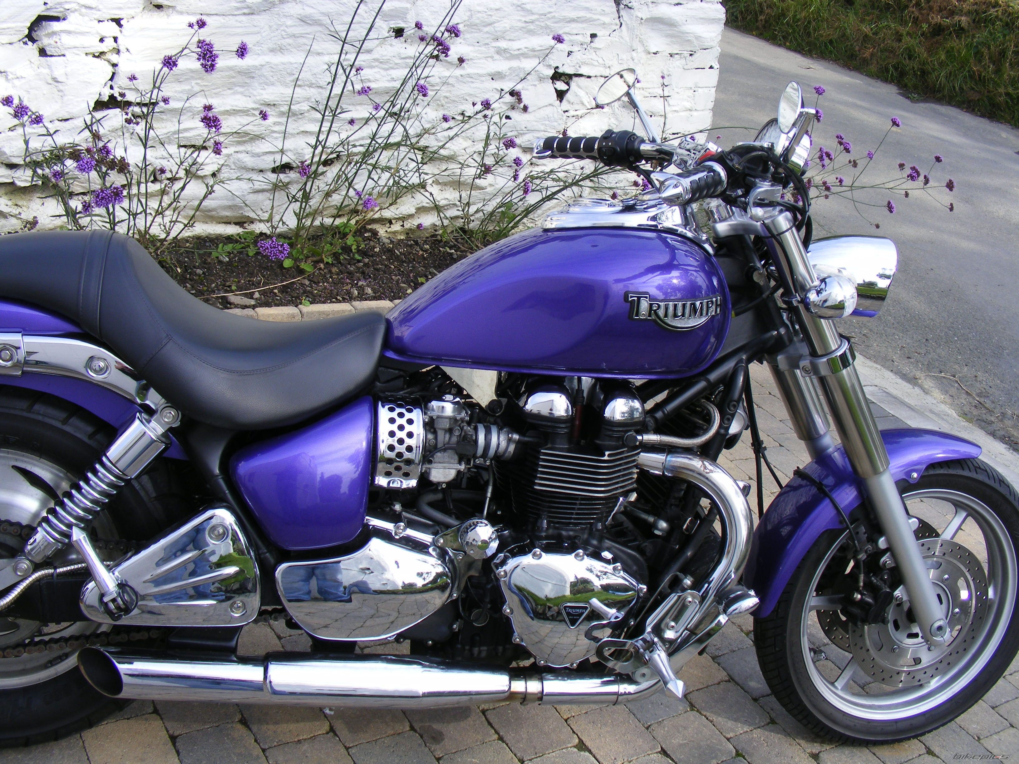 2006 TRIUMPH SPEEDMASTER | Picture 1433590 motorcycle photo