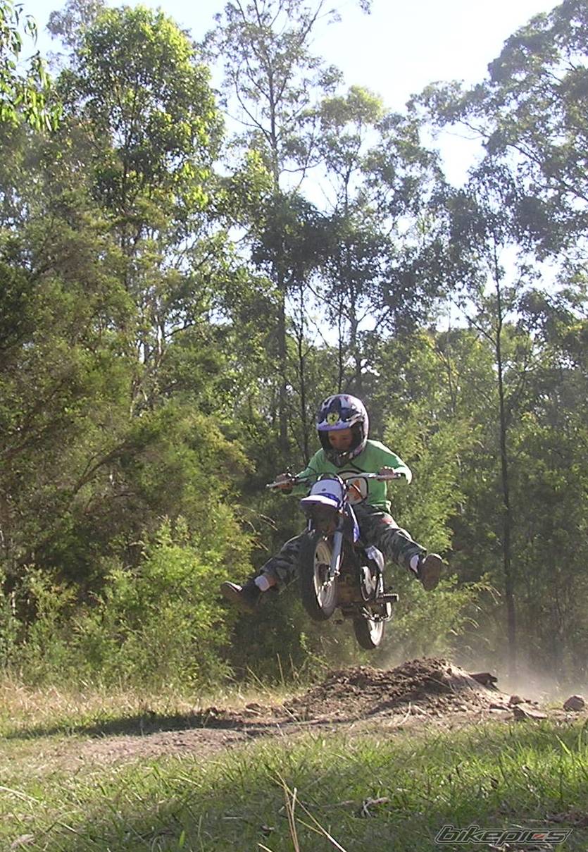 1991 HONDA XL 185 | Picture 143379 motorcycle photo