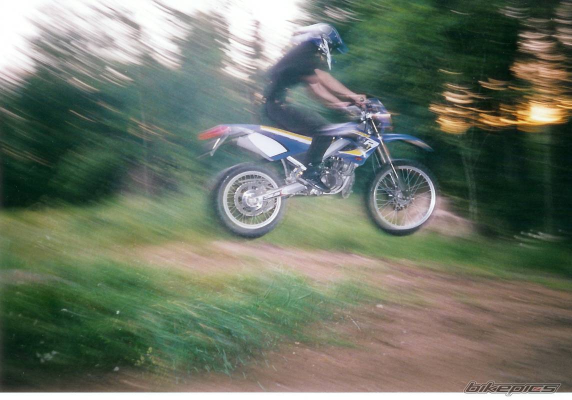 2002 DERBI SENDA R 50 | Picture 143385 motorcycle photo