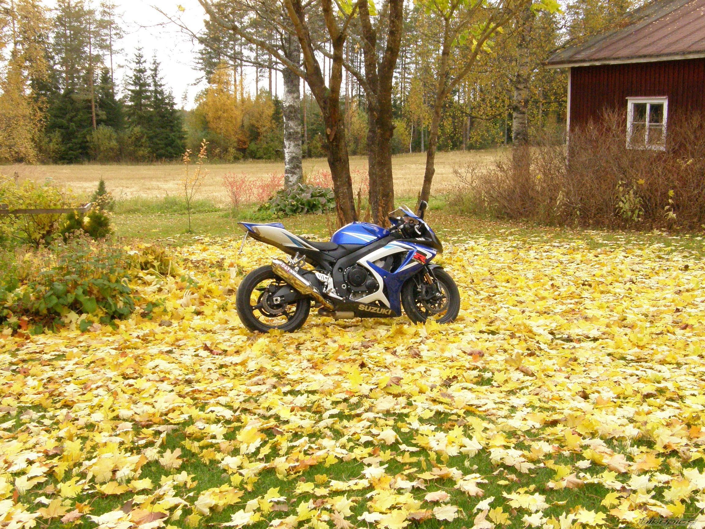 2006 SUZUKI GSX R 750 | Picture 1434172 motorcycle photo