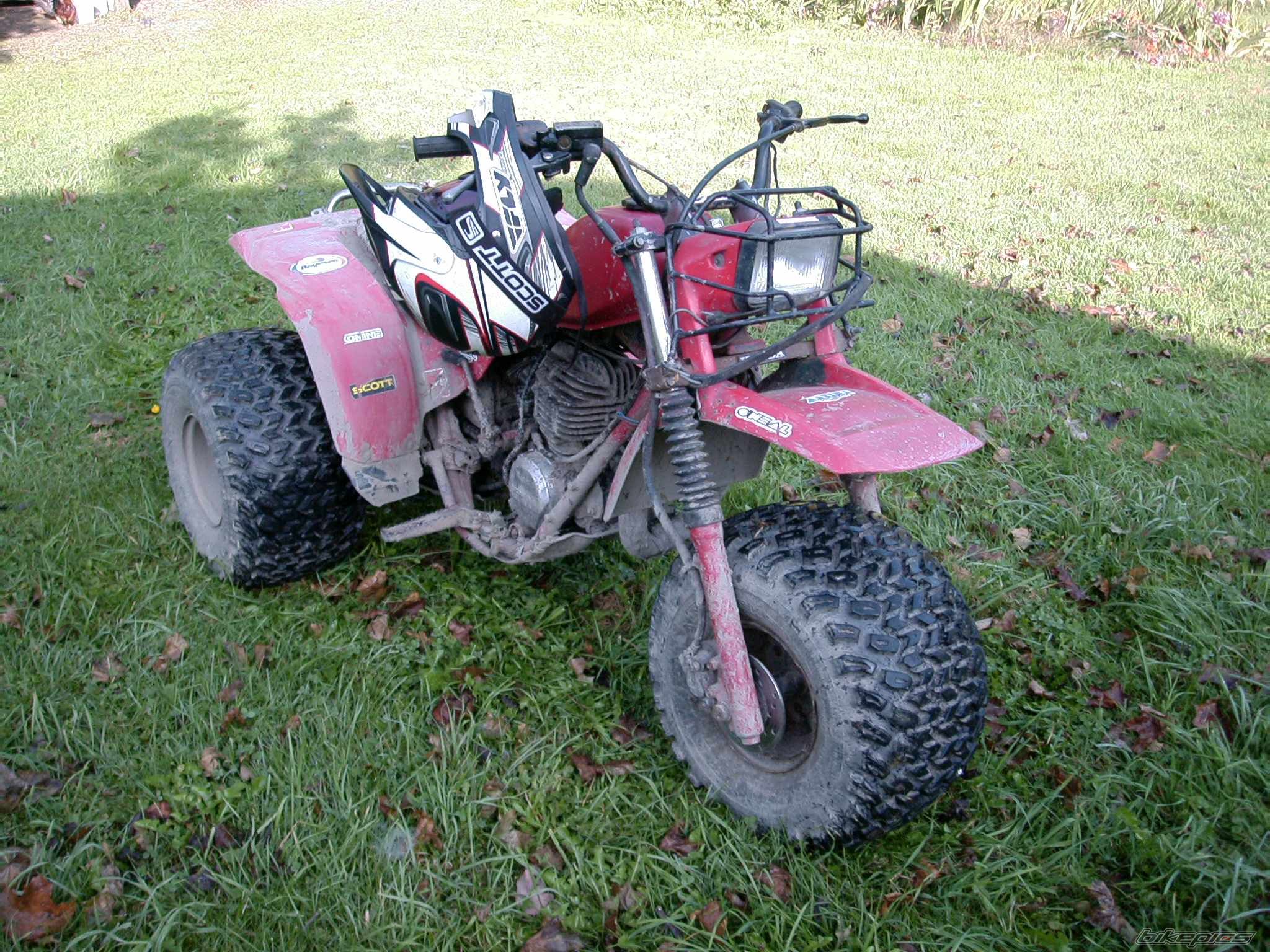 1982 HONDA ATC 250 | Picture 1434511 motorcycle photo