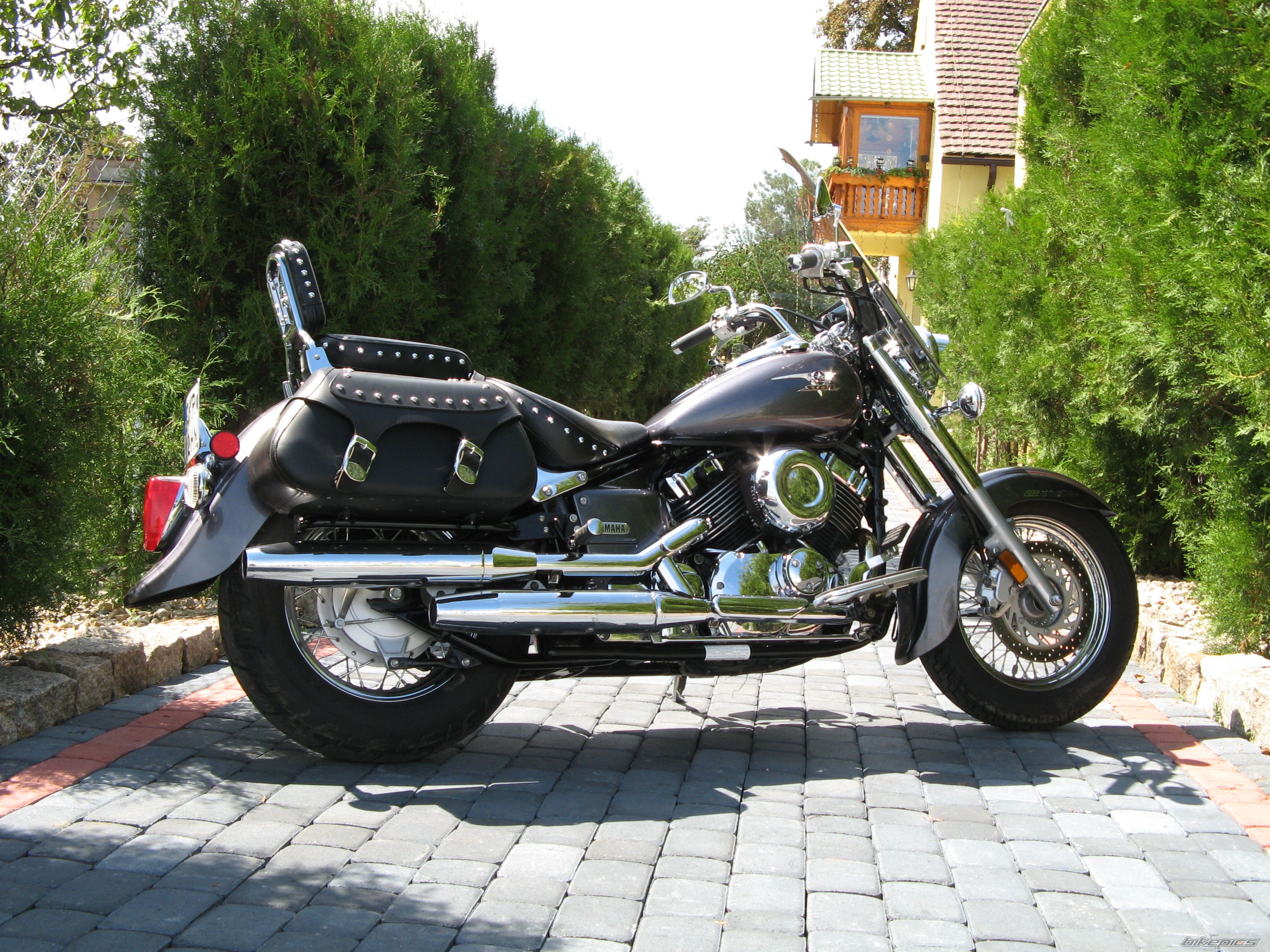 2006 YAMAHA XVS 650 V STAR | Picture 1434559 motorcycle photo