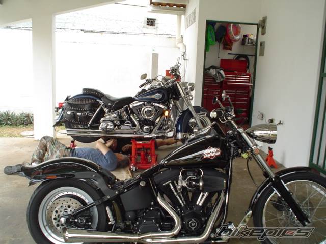 1998 HARLEY DAVIDSON FXSTB | Picture 143502 motorcycle photo