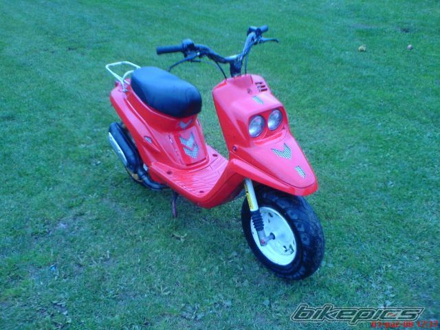 1995 YAMAHA BWS 50 | Picture 1435293 motorcycle photo
