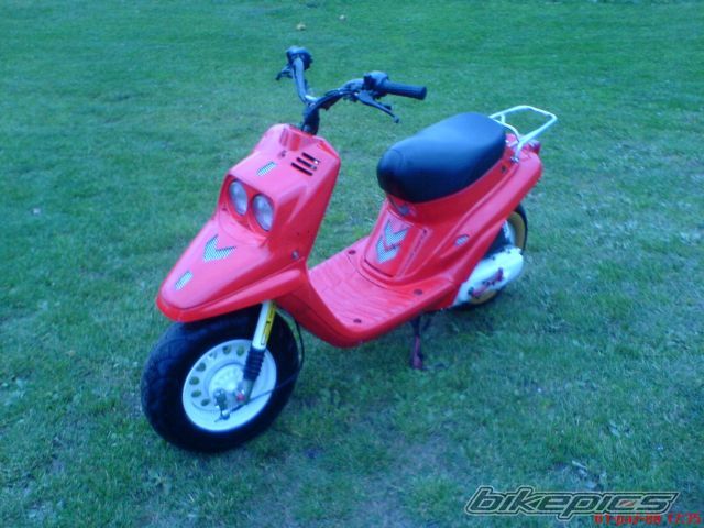 1995 YAMAHA BWS 50 | Picture 1435297 motorcycle photo