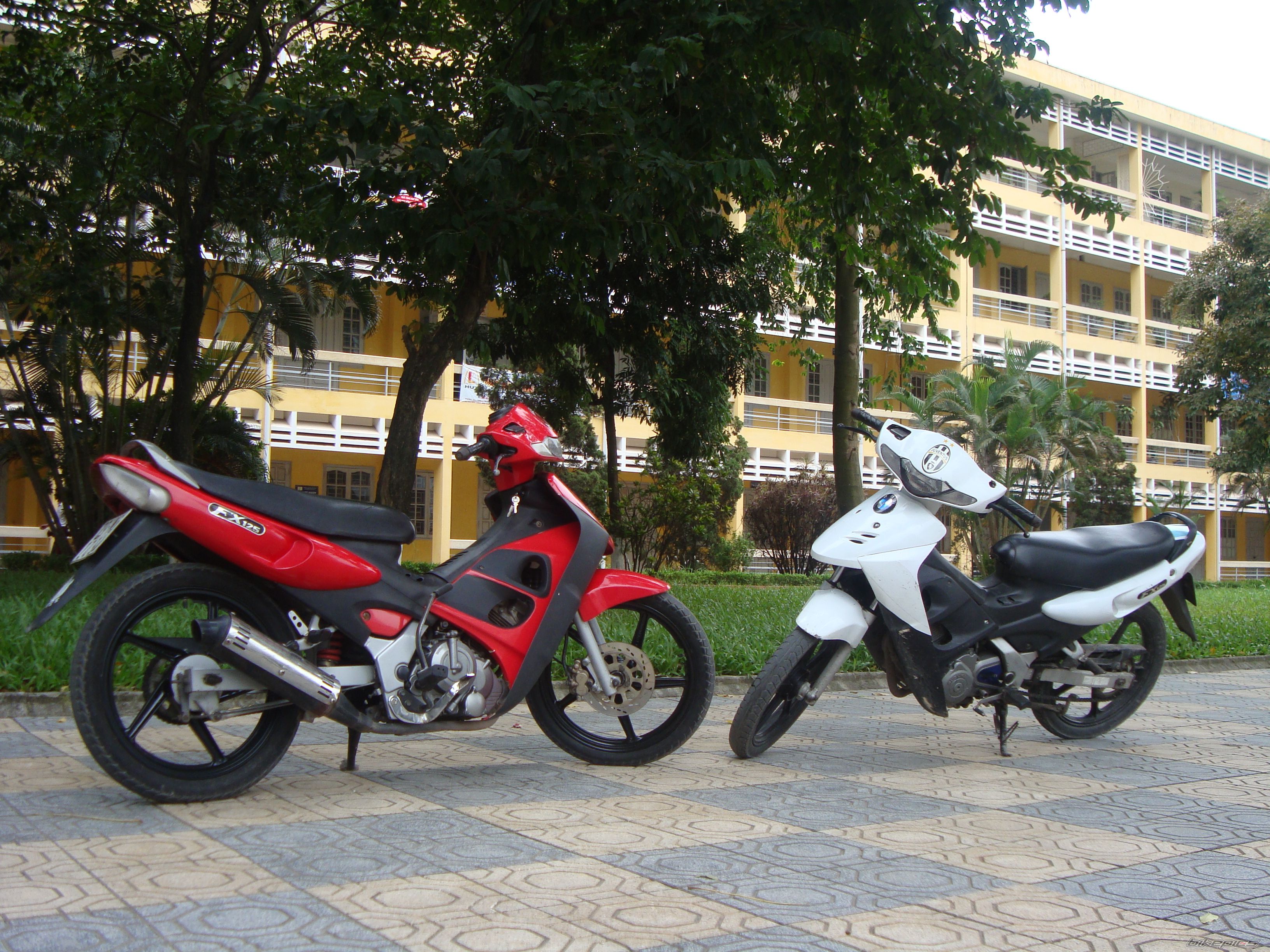 2008 SUZUKI FX 125 | Picture 1435900 motorcycle photo