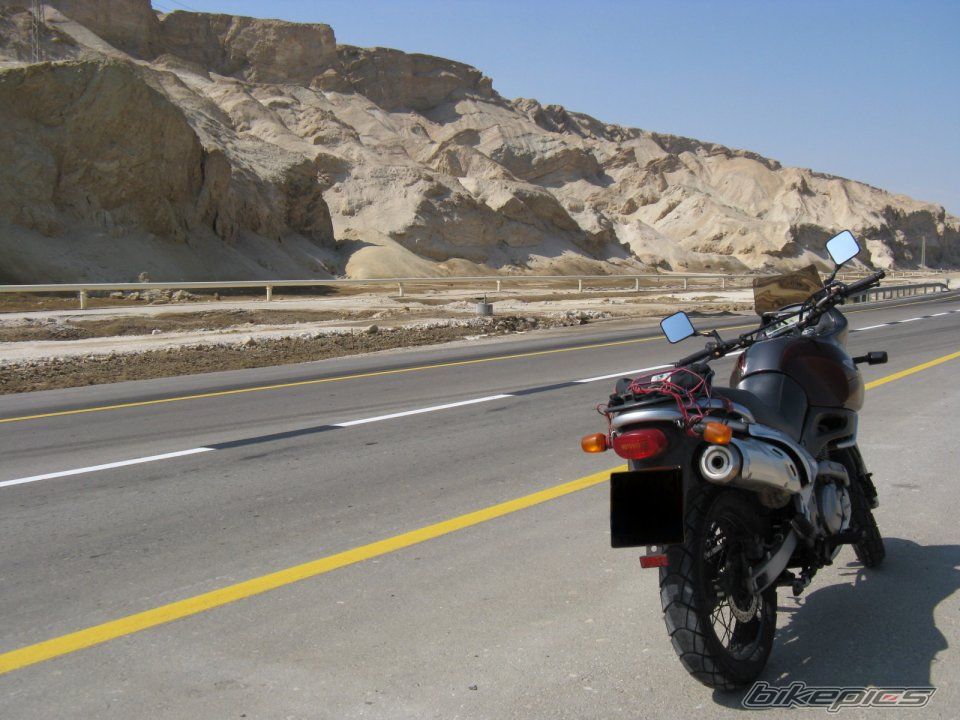 1998 SUZUKI XF 650 | Picture 1436682 motorcycle photo