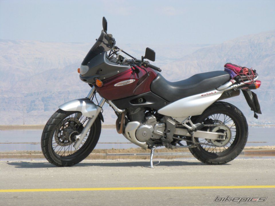 1998 SUZUKI XF 650 | Picture 1436685 motorcycle photo