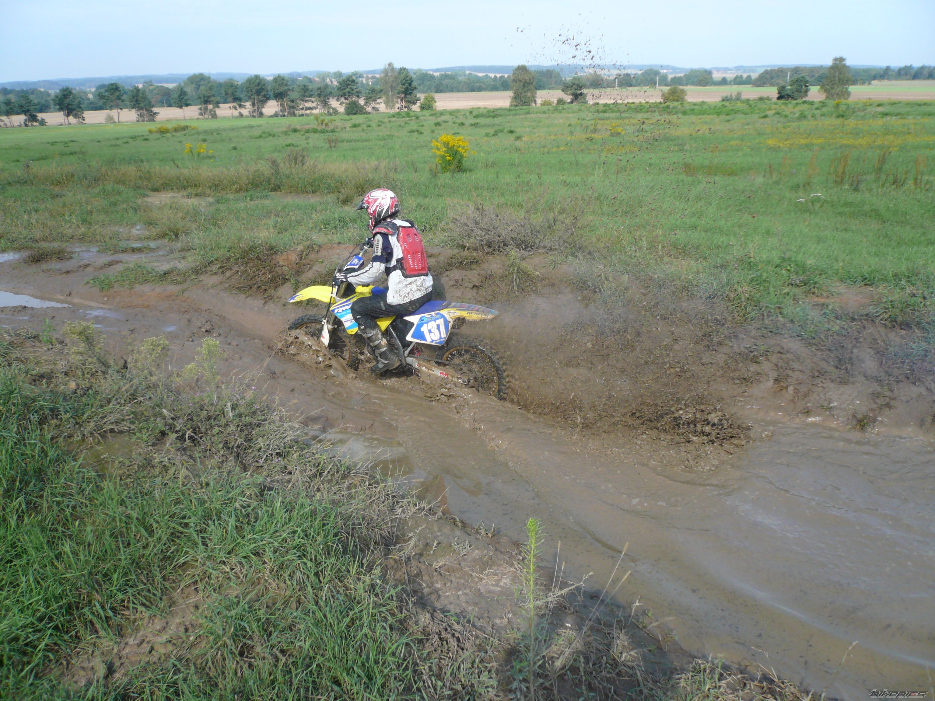 2003 SUZUKI RM 125 | Picture 1436713 motorcycle photo