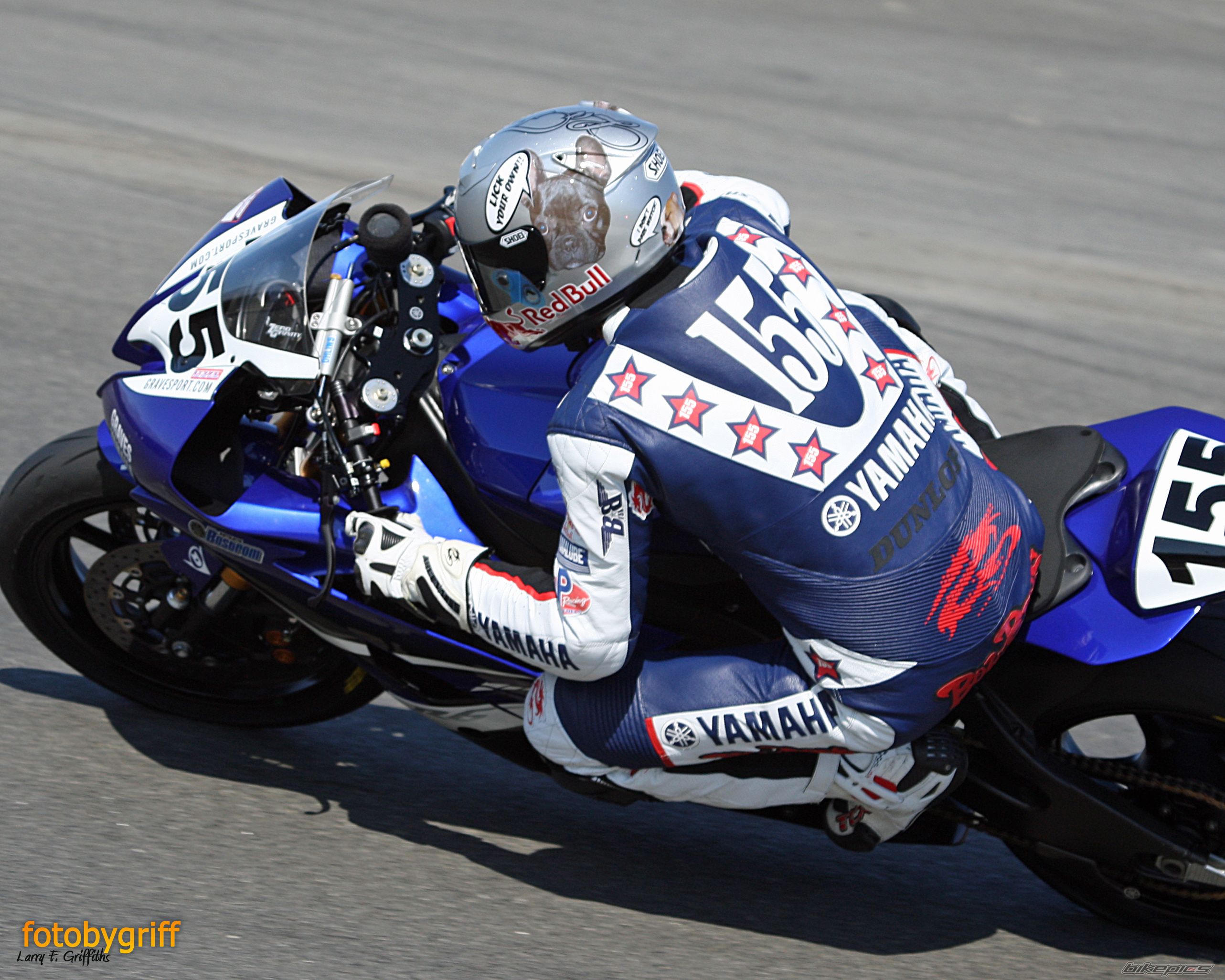 2008 YAMAHA YZF R6 | Picture 1437183 motorcycle photo