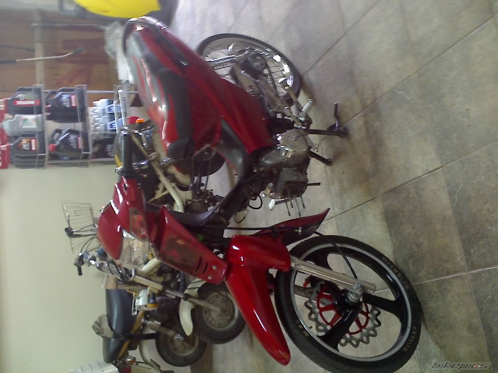 2008 HONDA SUPRA 110 | Picture 1437352 motorcycle photo