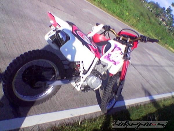 2008 HONDA XR 200 | Picture 1437611 motorcycle photo