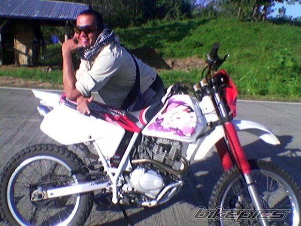2008 HONDA XR 200 | Picture 1437613 motorcycle photo