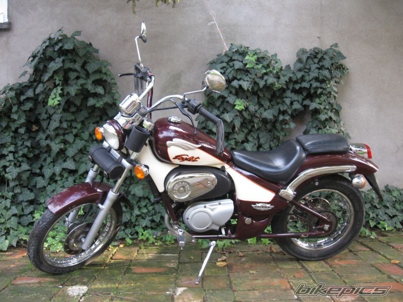 1990 GILERA EAGLET 50 | Picture 1437677 motorcycle photo