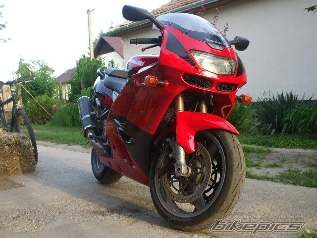 1997 KAWASAKI ZX 9R | Picture 1438221 motorcycle photo