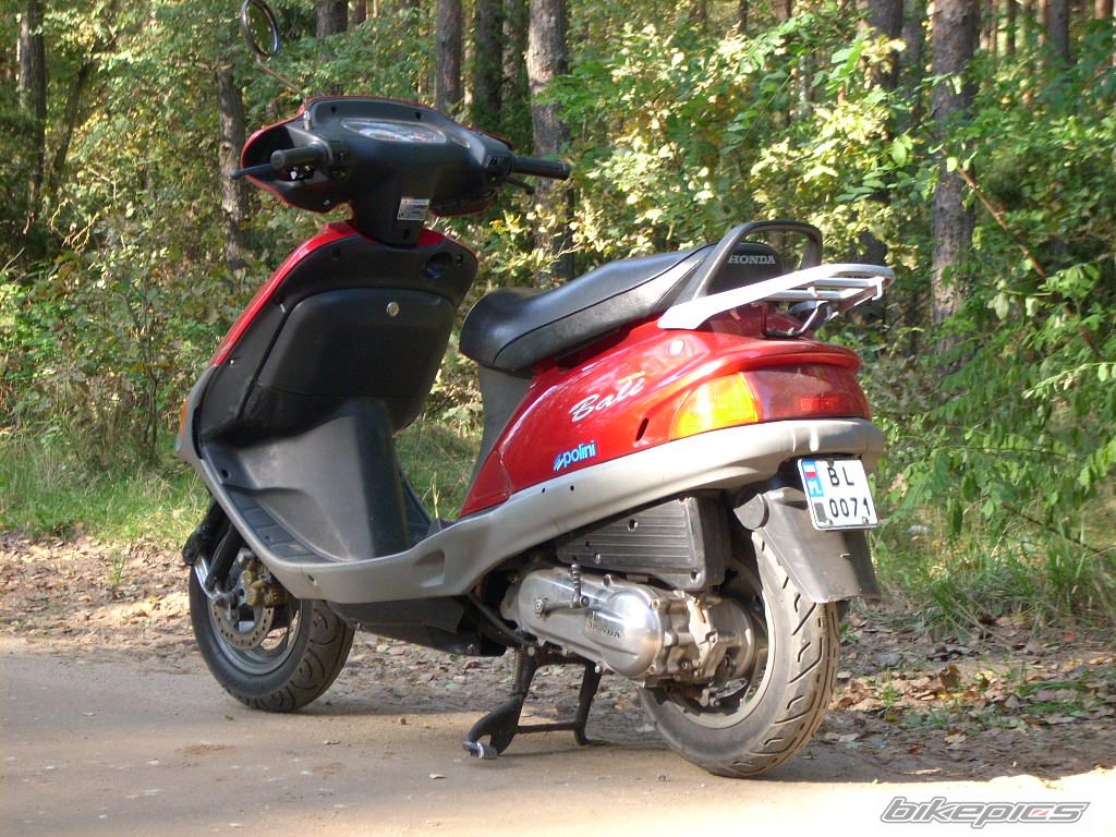 1996 HONDA BALI 50 | Picture 1439189 motorcycle photo