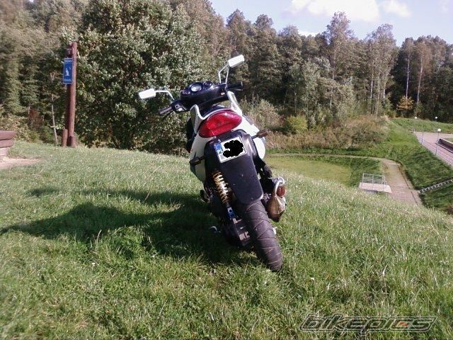 2003 SUZUKI AY 50 | Picture 1439190 motorcycle photo