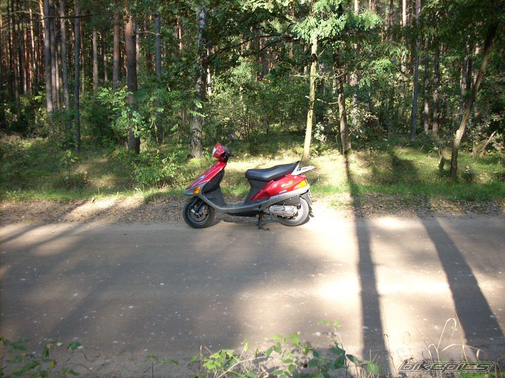 1996 HONDA BALI 50 | Picture 1439218 motorcycle photo