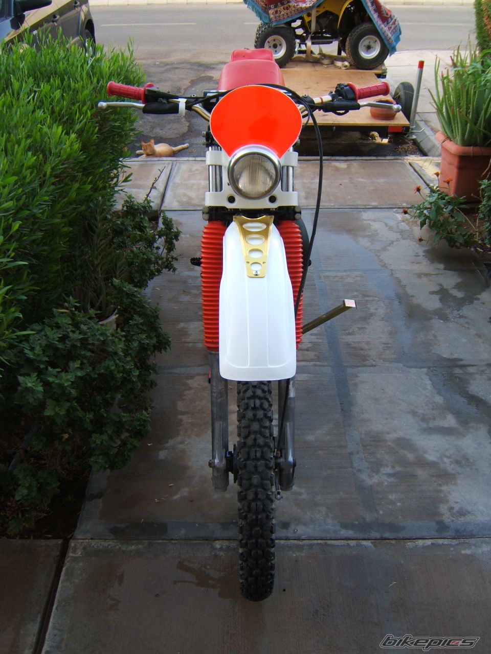 1977 YAMAHA IT 250 | Picture 1439354 motorcycle photo