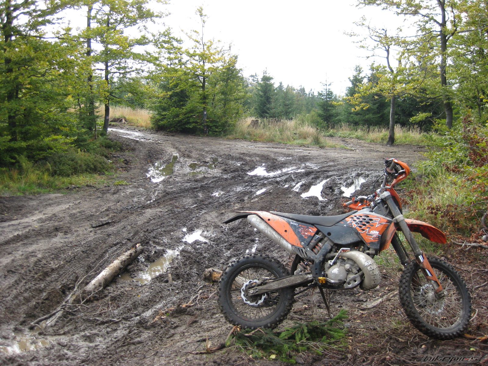 2008 KTM 200 EXC | Picture 1439540 motorcycle photo