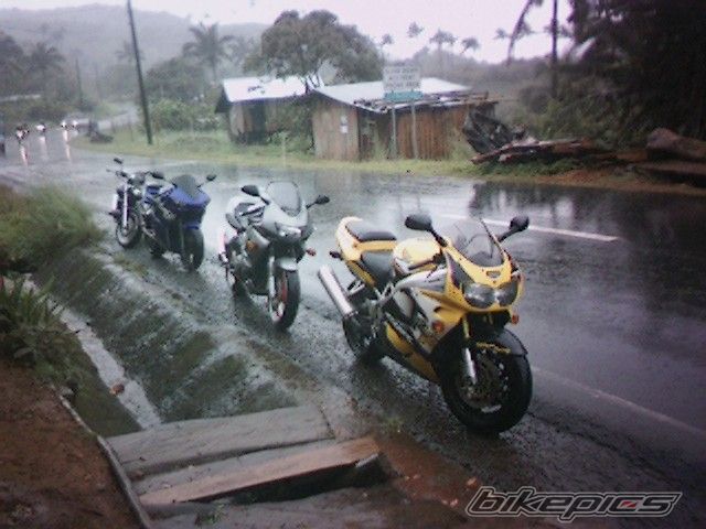 1999 HONDA VTR 1000 | Picture 1439743 motorcycle photo