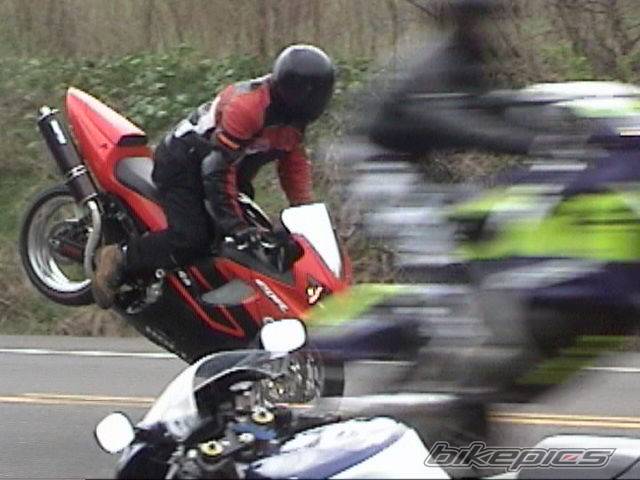 2002 HONDA CBR 600 | Picture 144002 motorcycle photo