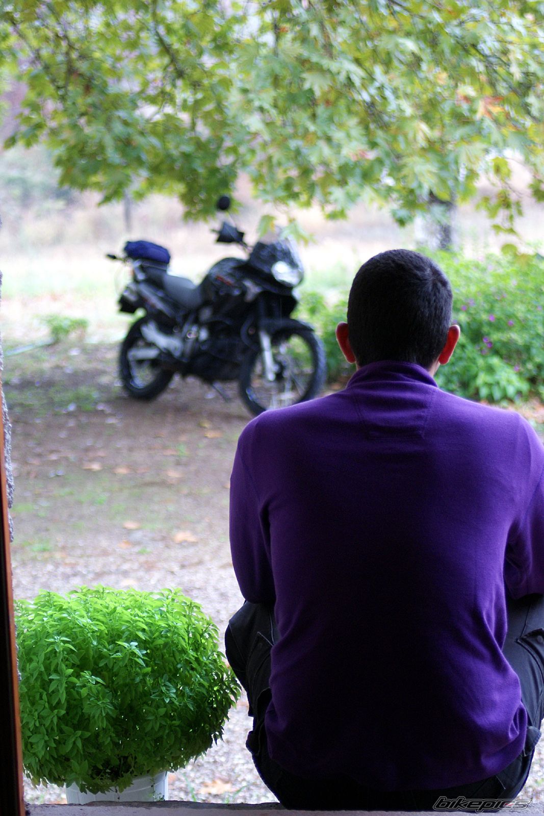    | Picture 1440096 motorcycle photo