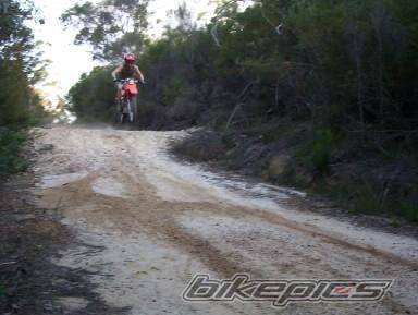 1991 HONDA XL 185 | Picture 144062 motorcycle photo