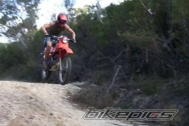1991 HONDA XL 185 | Picture 144065 motorcycle photo