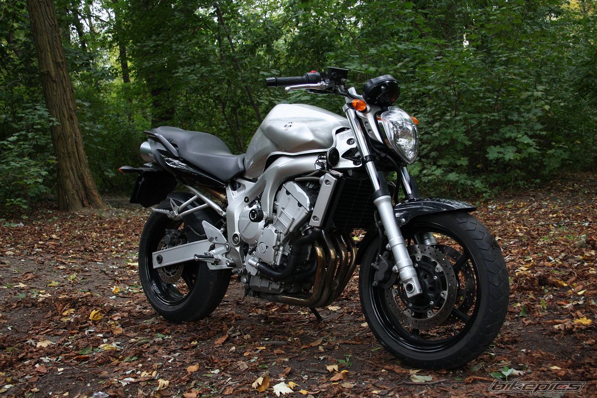 2004 YAMAHA FZ6 FAZER | Picture 1440674 motorcycle photo