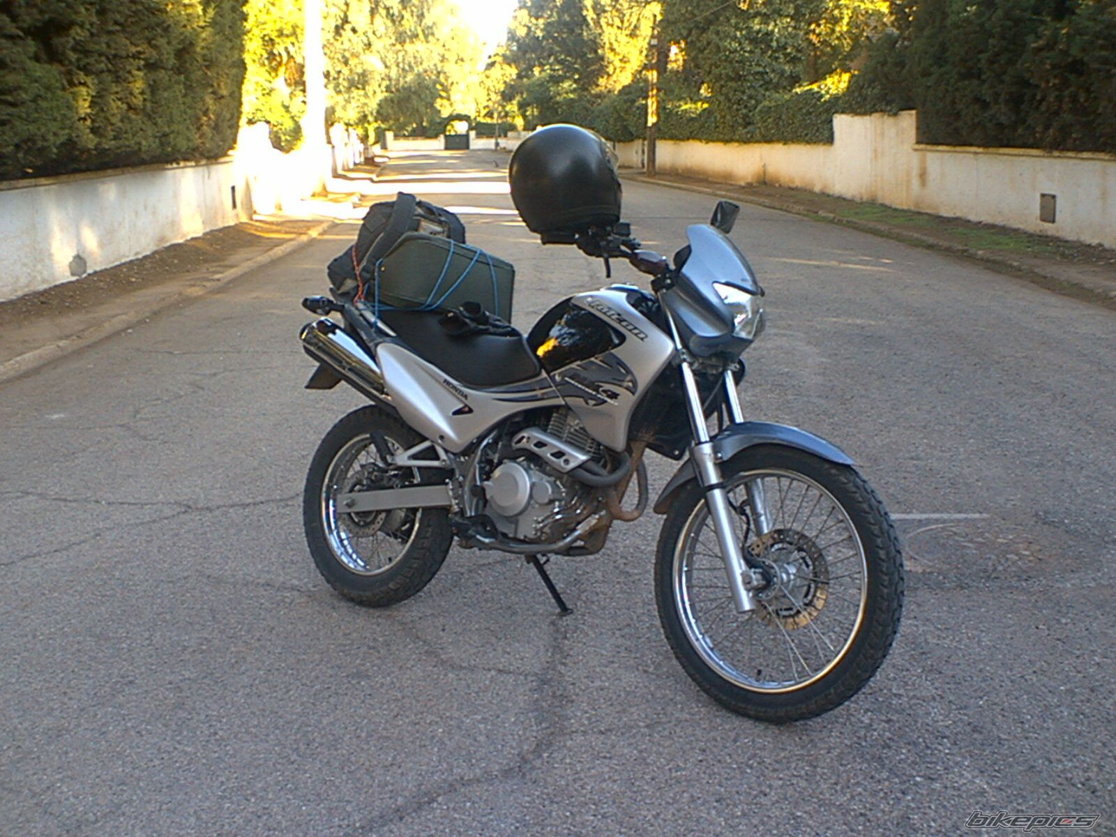 2008 HONDA NX 4 FALCON | Picture 1441236 motorcycle photo